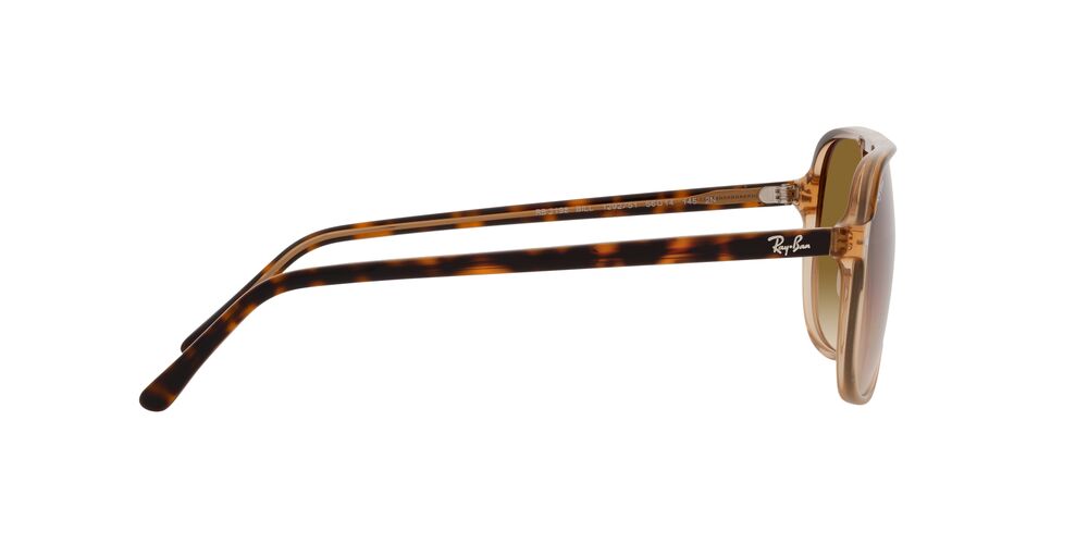 Gafas De Sol Ray-Ban RB2198 Café/Café