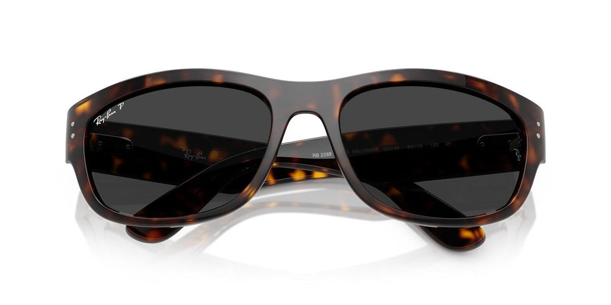 Gafas De Sol Ray-Ban RB2289 Negro/Havana