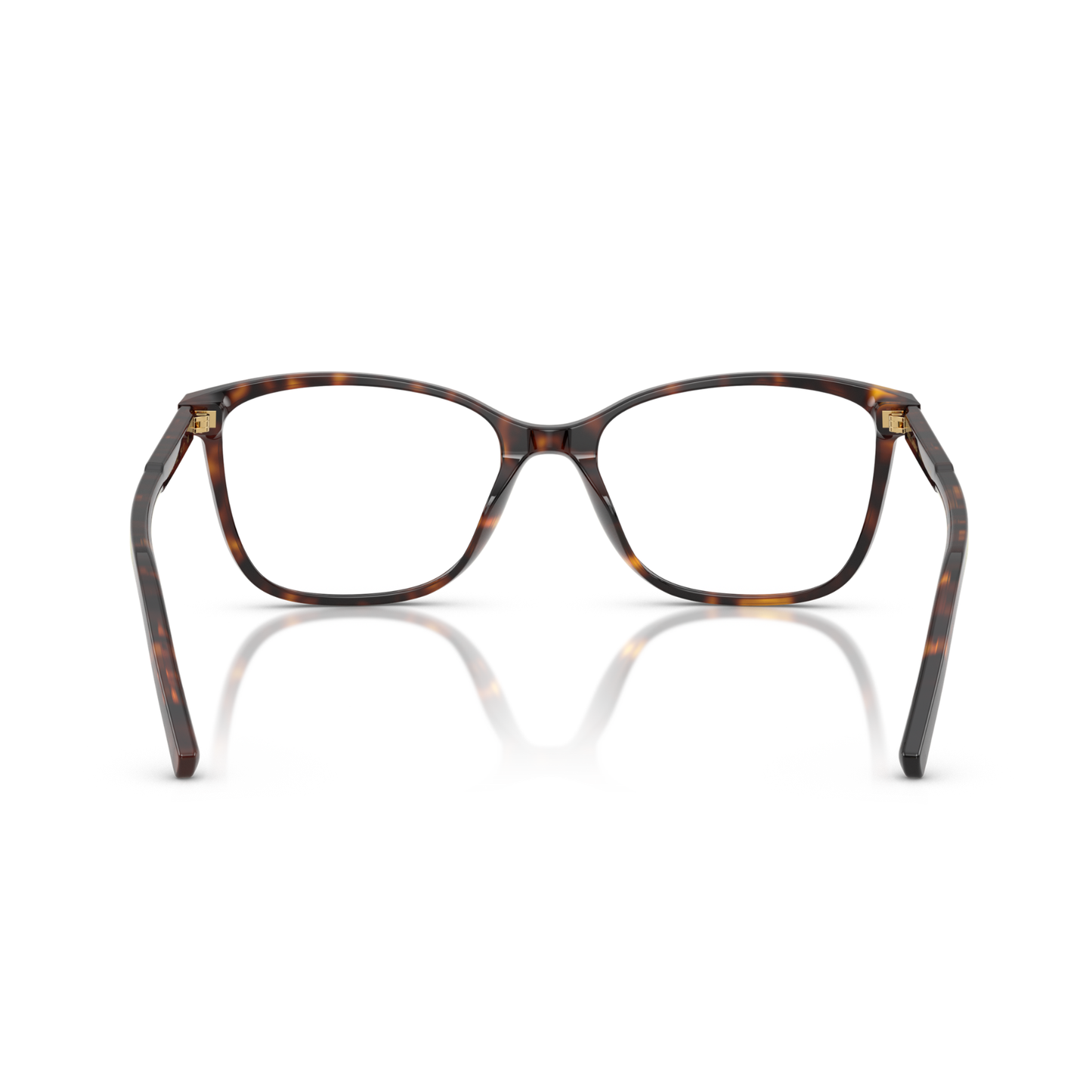 Armazón Dolce & Gabbana DG3424 Havana Havana
