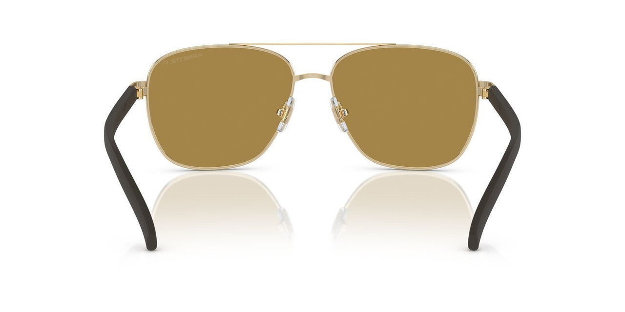 Gafas De Sol Arnette AN3087 Café/Dorado