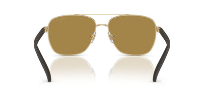 Gafas De Sol Arnette AN3087 Café/Dorado