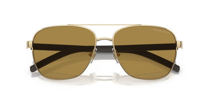 Gafas De Sol Arnette AN3087 Café/Dorado