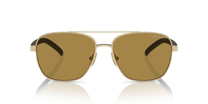 Gafas De Sol Arnette AN3087 Café/Dorado