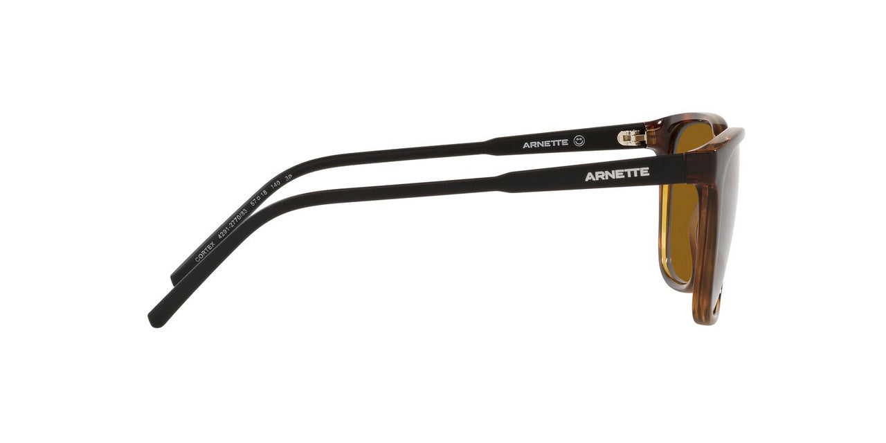Gafas De Sol Arnette AN4291 Café/Havana