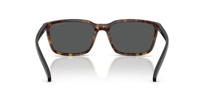 Gafas De Sol Arnette AN4311 Gris/Havana