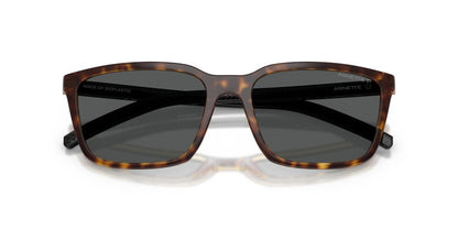 Gafas De Sol Arnette AN4311 Gris/Havana