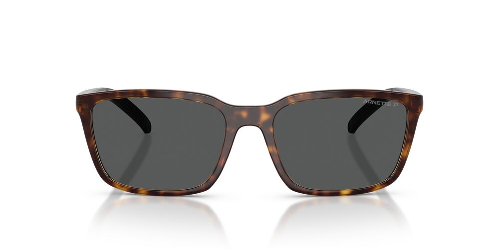 Gafas De Sol Arnette AN4311 Gris/Havana
