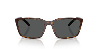 Gafas De Sol Arnette AN4311 Gris/Havana