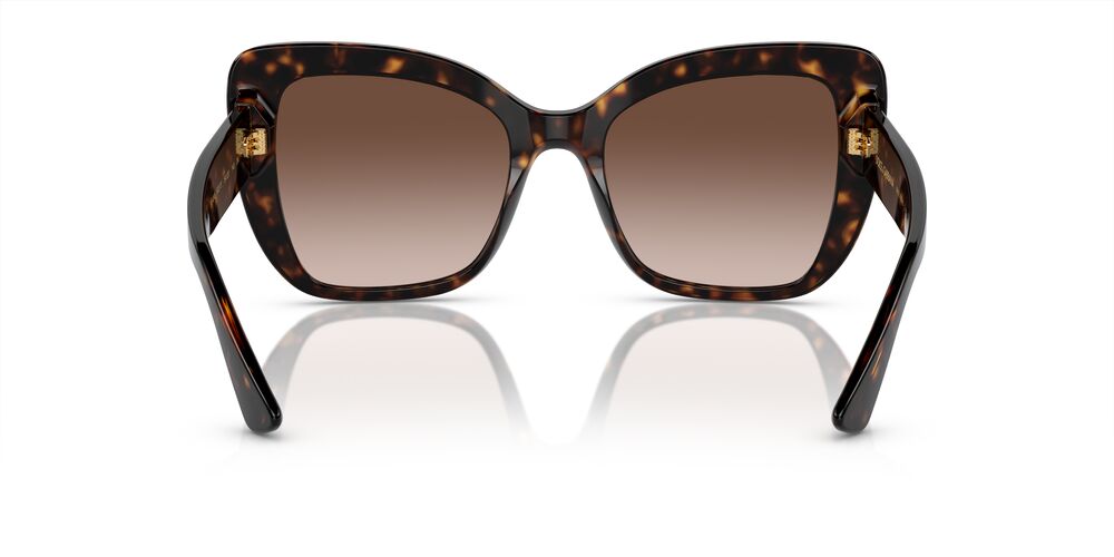 Gafas De Sol Dolce & Gabbana DG4348 Café/Havana