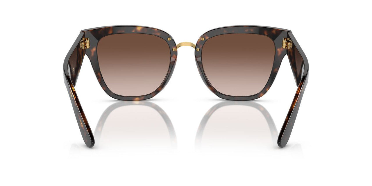 Gafas De Sol Dolce & Gabbana DG4437 Café/Havana