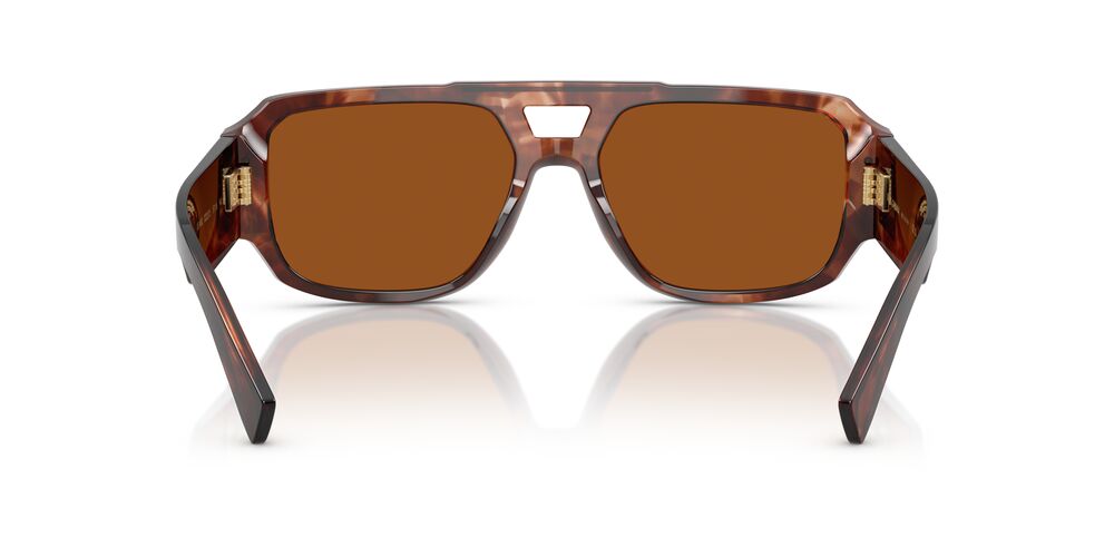 Gafas De Sol Dolce & Gabbana DG4482 Café/Havana