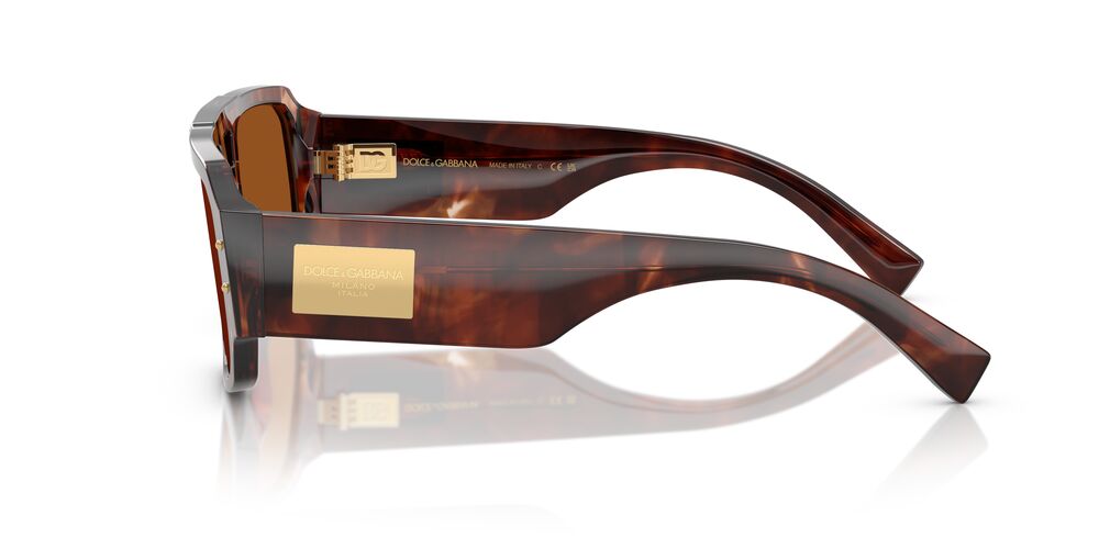Gafas De Sol Dolce & Gabbana DG4482 Café/Havana