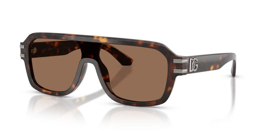 Gafas De Sol Dolce & Gabbana DG4507 Café/Havana
