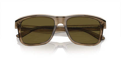 Gafas De Sol Emporio Armani EA4208 Café/Verde