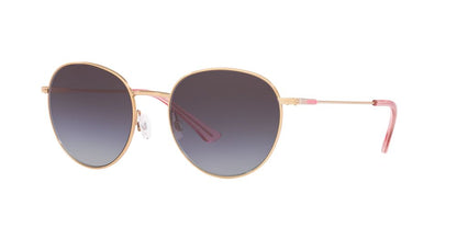 Gafas De Sol Jean Monnier J82016 Gris/Dorado