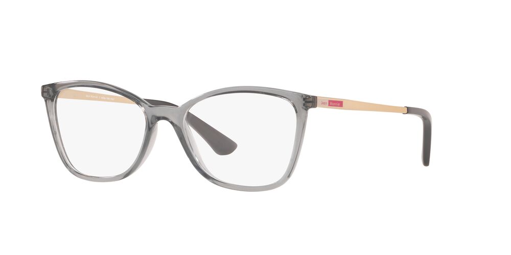 Armazón Jean Monnier J83194 Gris