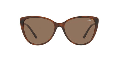 Gafas De Sol Jack Pacific JK1015B Café/Havana