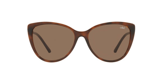 Gafas De Sol Jack Pacific JK1015B Café/Havana