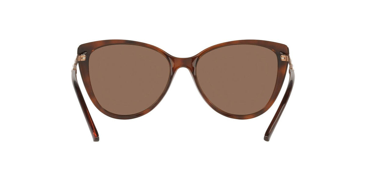 Gafas De Sol Jack Pacific JK1015B Café/Havana