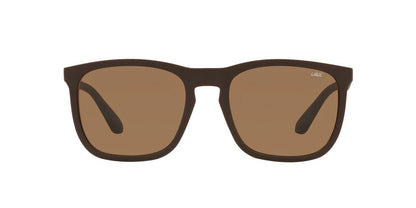 Gafas De Sol Jack Pacific JK1020M Café/Café