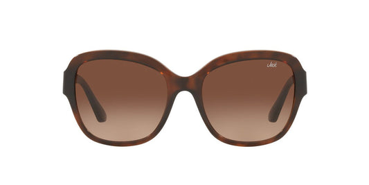 Gafas De Sol Jack Pacific JK1025M Café/Havana