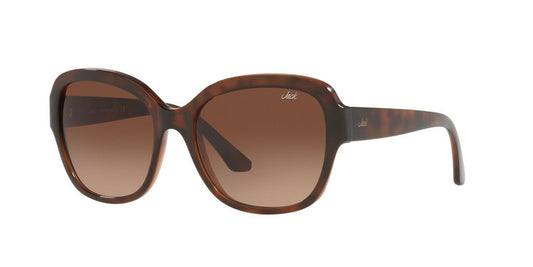Gafas De Sol Jack Pacific JK1025M Café/Havana