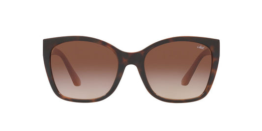 Gafas De Sol Jack Pacific JK1036M Café/Havana