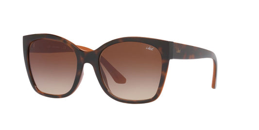 Gafas De Sol Jack Pacific JK1036M Café/Havana