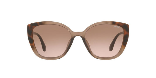 Gafas De Sol Jack Pacific JK1043U Gris/Havana