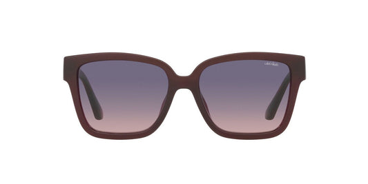 Gafas De Sol Jack Pacific JK1044U Rosa/Rosa