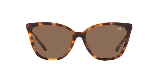 Gafas De Sol Jack Pacific JK6001M Café/Havana