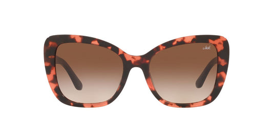 Gafas De Sol Jack Pacific JK6003U Café/Havana