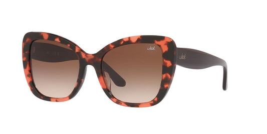 Gafas De Sol Jack Pacific JK6003U Café/Havana