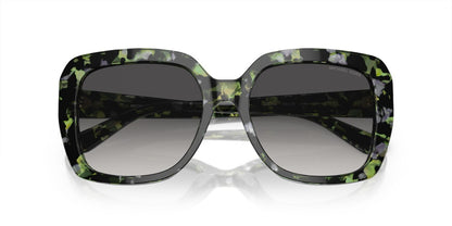 Gafas De Sol Michael Kors MK2140 Gris/Verde