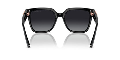 Gafas De Sol Michael Kors MK2170U Gris/Negro