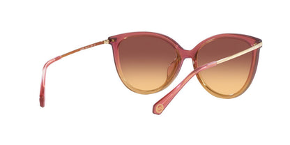 Gafas De Sol Michael Kors MK2184U Purpura/Rosa