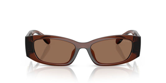 Gafas De Sol Michael Kors MK2243U Café/Café