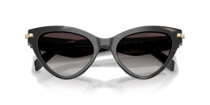 Gafas De Sol Michael Kors MK2259U Gris/Negro