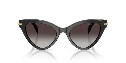Gafas De Sol Michael Kors MK2259U Gris/Negro