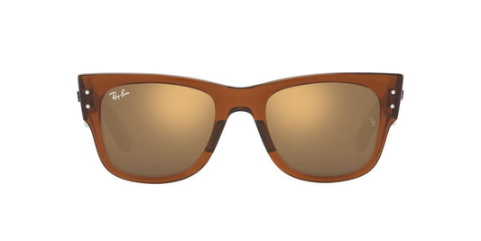 Gafas De Sol Ray-Ban RB0840S Café/Café