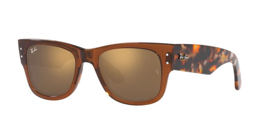 Gafas De Sol Ray-Ban RB0840S Café/Café