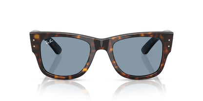 Gafas De Sol Ray-Ban RB0840S Azul/Havana
