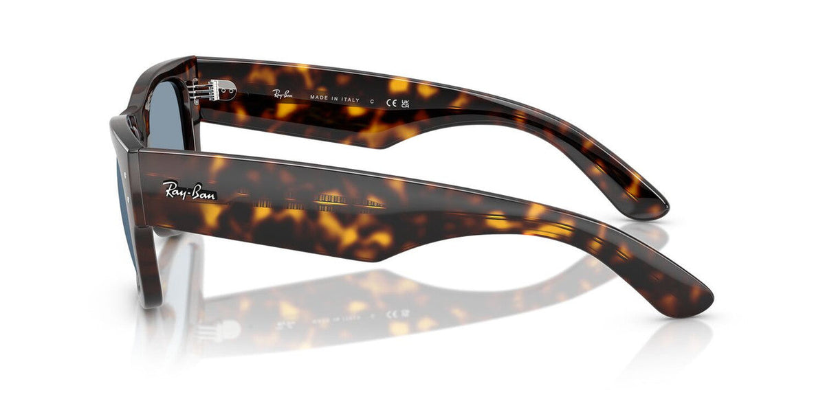 Gafas De Sol Ray-Ban RB0840S Azul/Havana