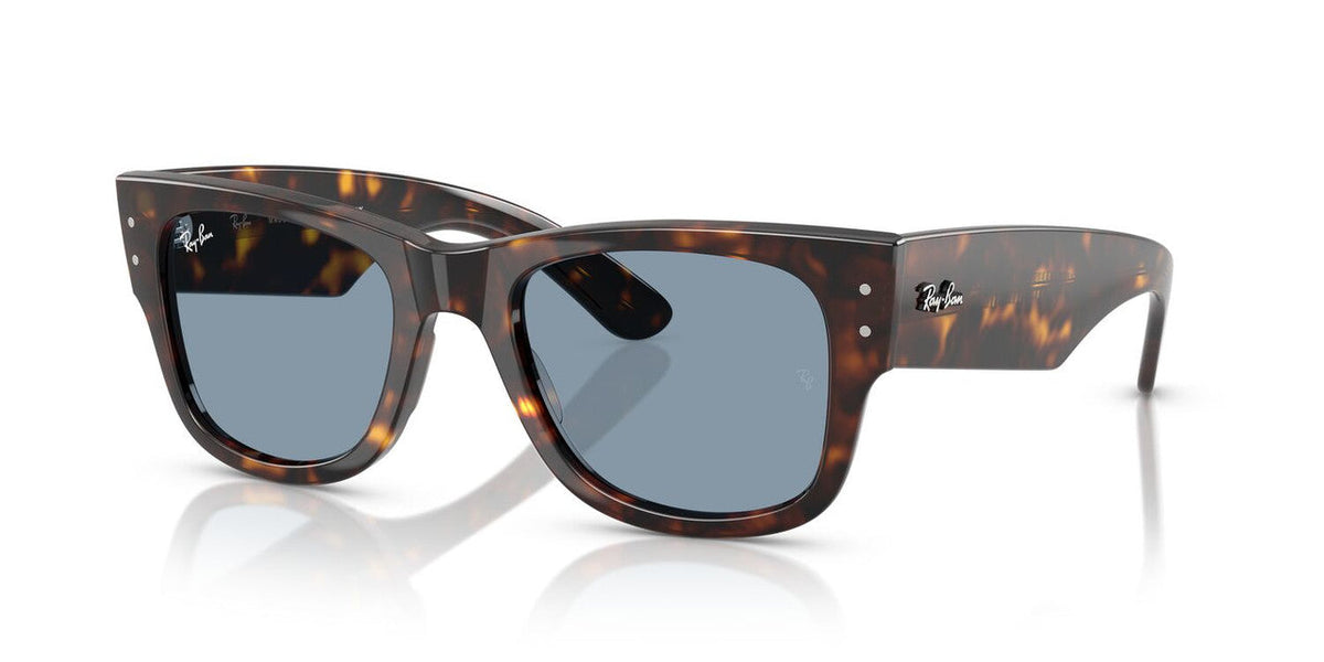 Gafas De Sol Ray-Ban RB0840S Azul/Havana