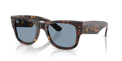 Gafas De Sol Ray-Ban RB0840S Azul/Havana