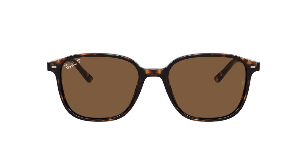 Gafas De Sol Ray-Ban RB2193 Café/Café