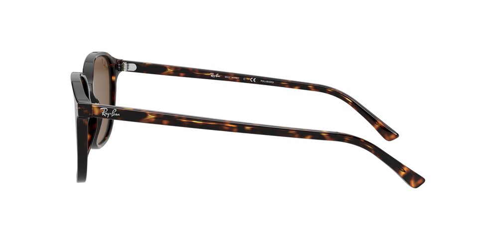 Gafas De Sol Ray-Ban RB2193 Café/Café