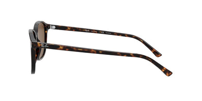 Gafas De Sol Ray-Ban RB2193 Café/Café