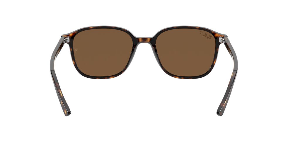 Gafas De Sol Ray-Ban RB2193 Café/Café
