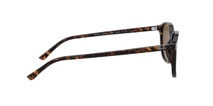 Gafas De Sol Ray-Ban RB2193 Café/Café